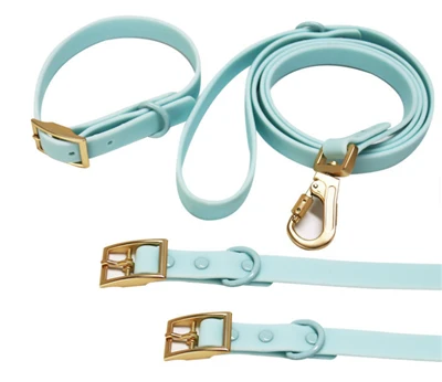 Ensemble collier et laisse pour chien durables sans-traction