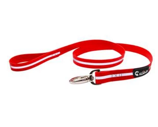 Laisse rouge douce molle durable de chien faite avec la sangle réfléchissante enduite de PVC